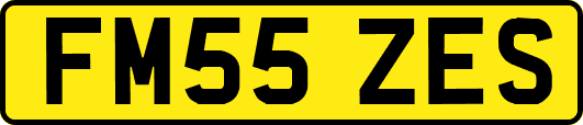 FM55ZES
