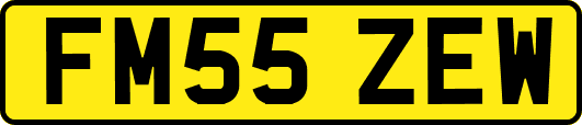 FM55ZEW