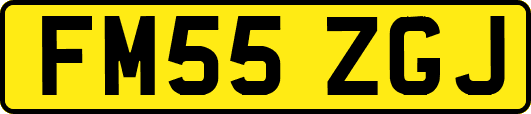 FM55ZGJ