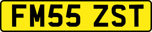 FM55ZST
