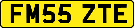 FM55ZTE