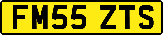 FM55ZTS