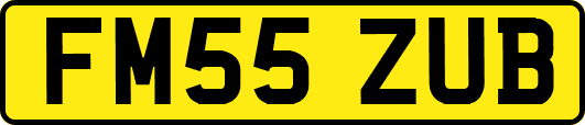 FM55ZUB