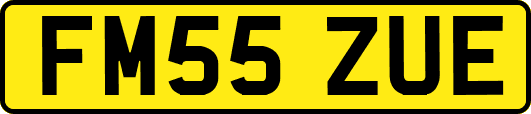 FM55ZUE