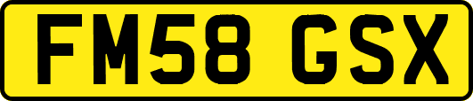 FM58GSX