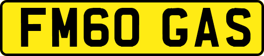 FM60GAS