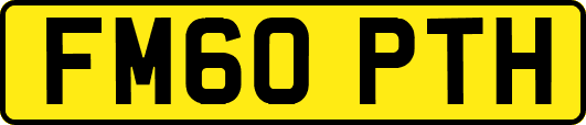 FM60PTH