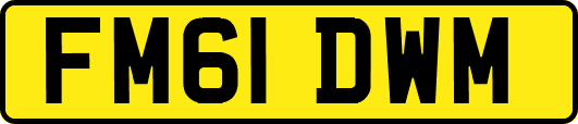 FM61DWM