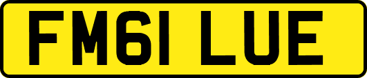 FM61LUE