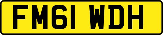 FM61WDH
