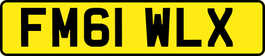 FM61WLX