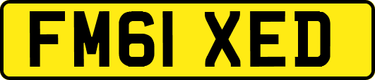FM61XED