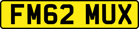 FM62MUX