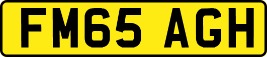 FM65AGH