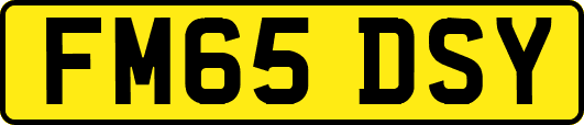 FM65DSY