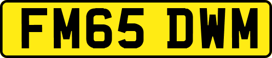 FM65DWM
