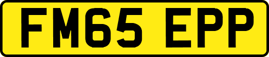 FM65EPP