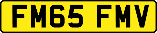 FM65FMV