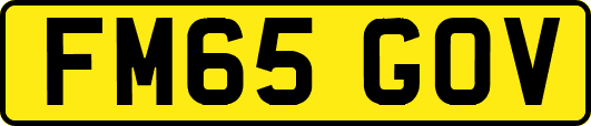 FM65GOV