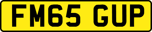 FM65GUP