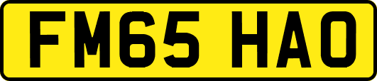 FM65HAO