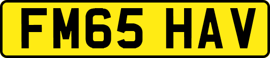 FM65HAV