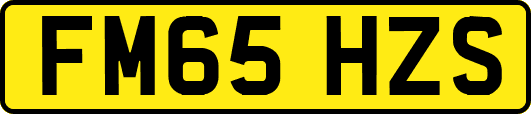 FM65HZS