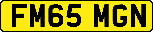 FM65MGN