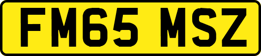 FM65MSZ