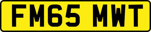 FM65MWT