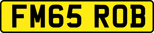 FM65ROB