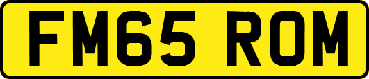 FM65ROM