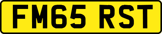FM65RST