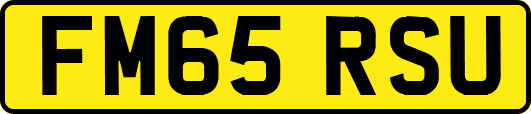 FM65RSU