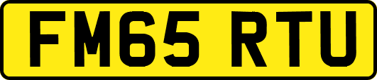 FM65RTU