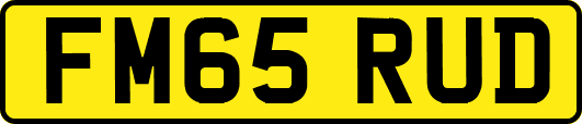 FM65RUD