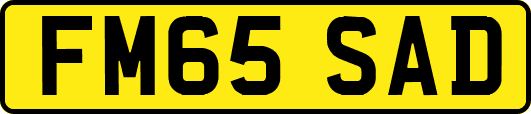 FM65SAD
