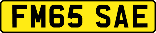 FM65SAE