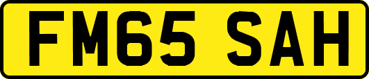 FM65SAH