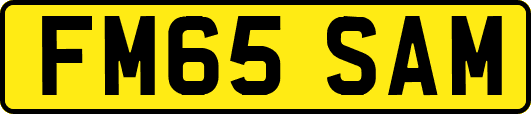 FM65SAM