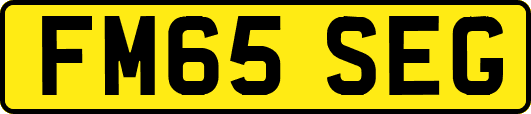 FM65SEG