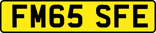 FM65SFE