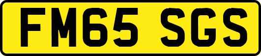FM65SGS