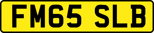 FM65SLB