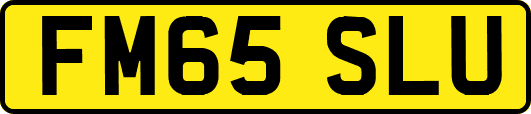 FM65SLU