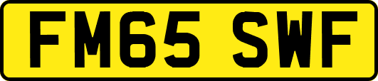 FM65SWF