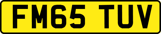 FM65TUV