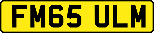 FM65ULM