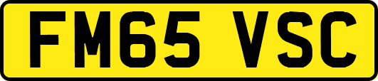 FM65VSC