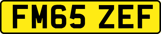 FM65ZEF